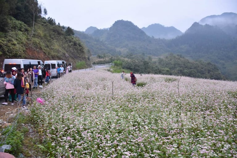 Đi xe khách lên Hà Giang sẽ bớt đi những mệt mọc cho bạn